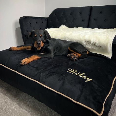 Bed in image is large 120cmx80cmx15cm   Black Flat velvet with Mink/ Gold tone contrast piping.  Price includes your dogs name/s  We can custom make to measure in any fabric / size Please email or call for a bespoke order. Main insert comes with a zip for washing and can be washed on low/ delicate.  Luxury Throw can also be purchased in our shop. Cute Dog Bed Aesthetic, Black Dog Bed, Corner Dog Bed, Big Dog Beds, London Mansion, Wood Dog Bed, Dog Bedroom, Luxury Pet Beds, Cute Dog Beds