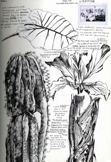 observational drawing of plants - Iris Cheung, IB Art Observational Drawing Sketchbook, Plants Sketchbook, Process Portfolio, Sketchbook Examples, Drawings Of Plants, Observational Drawings, Gcse Sketchbook, Ib Art, Sketchbook Layout