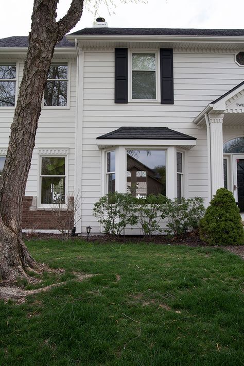 The Front Yard: Before Landscape Bay Window Front Yard, Bay Window Landscaping, Annuals In Pots, Sunroom Windows, Single Hung Windows, River Birch, Front Landscaping, Dead Space, Fresh Color