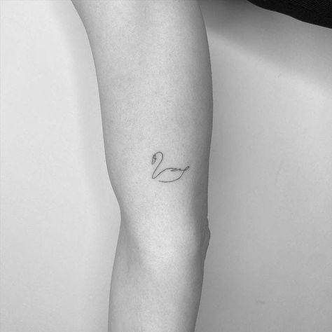 Swan Tattoo For Couples, Small Swan Tattoo Simple, Minimal Swan Tattoo, Swan Tattoos For Women, Mini Swan Tattoo, Swan Line Tattoo, Minimalist Swan Tattoo, Swan Fine Line Tattoo, Swan Outline Tattoo