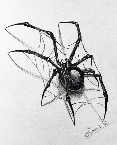 Eye Spider Drawing, Spider Pen Drawing, Cute Spiders Drawings, 3d Spider Drawing, Scary Spider Drawing, Spiderweb Sketch, Spider Concept Art, Spider Drawing Sketches, Spider Reference