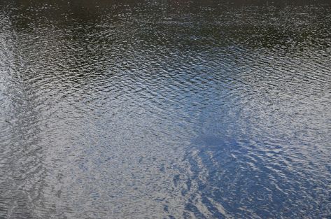 River Texture, Dark River, Retention Pond, Tree Photoshop, Water Texture, Water River, River Water, Photo Texture, Photoshop Textures