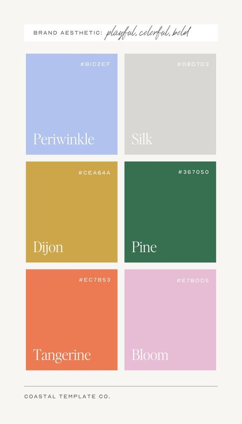 Color palette ideas for your next brand design, web design, or creative project by Coastal Template Co. Showit templates, Flodesk templates, Canva templates, and stock photography for small businesses. Ways To Say Hello, Next Brand, Website Color Palette, Small Business Resources, Palette Ideas, Hex Codes, Colors Palette, Bold Color Palette, Brand Color Palette