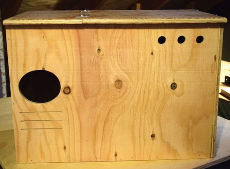 Build a Simple Owl Dwelling - Grit Owl Box Plans, Oscillating Spindle Sander, Simple Owl, Diy Owl, Spindle Sander, Owl Box, Kayak Rack, Barred Owl, Sanding Block