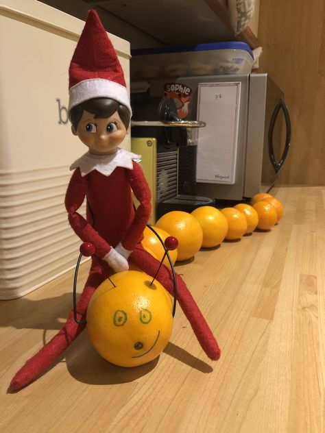 Elf on the Shelf 2019 | Riding on a caterpillar made of oranges! Elf On The Shelf Oranges, Elf On Shelf, Awesome Elf On The Shelf Ideas, Elf Ideas, Shelf Ideas, Christmas Hat, On The Shelf, Christmas Elf, Caterpillar