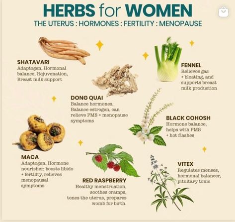 Ladies, do not keep this to yourself, send it to your bestie or repost it for the girlies to see ✨ You can find these and over 200 herbs, tea blends, and holistic products in our store or website (link in bio) . We ship worldwide. #herbalmedicine #mindfulness #alkaline #wholifeco #healthyfood #functionalmedicine #holisticlifestyle #naturopathicmedicine #healingherbs #clinicalherbalist #femmeyogipreneur #herballife #naturalhealth #herbalwellness #herbalcommunity #blackherbalist #medicinalpl... Mood Boosting Herbs, Herbs For Women, Medicinal Herbs Remedies, Holistic Products, Herbs Tea, Herbal Education, Medical Herbs, Healing Tea, Ayurvedic Healing