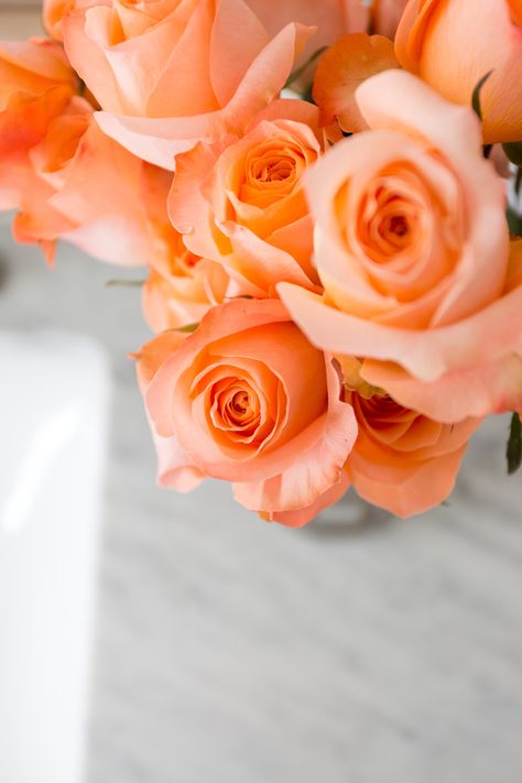 - Orange Roses Aesthetic, Peach Color Flowers, Apricot Roses, Orange Aesthetics, Coral Roses, Coral Flower, Rosé Aesthetic, Hearts And Roses, Rose Pictures