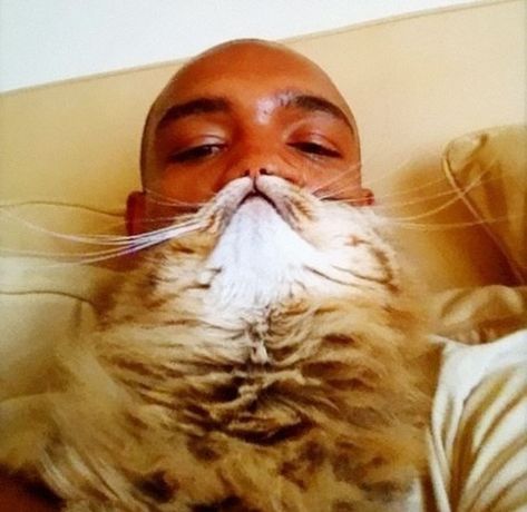 ‘Cat Beard’ Craze Takes Internet By Storm | Bored Panda Cat Beard, Cat Whiskers, Like A Cat, Funny Cat Pictures, Cat Face, Crazy Cat Lady, Crazy Cats, Cool Cats, Pet Owners