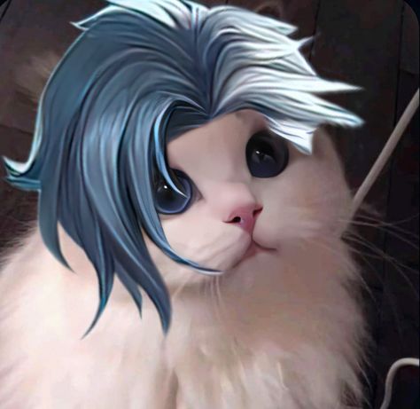 𝑴𝒍𝒃𝒃 𝒄𝒂𝒕 Aamon Mlbb Pfp, Mlbb Cat Pfp, Amon Mlbb., Mlbb Cat Icon, Mlbb Aamon, Aamon Mlbb, Minecraft Skins Blue, Mobile Legends Cosplay, Mlbb Pfp