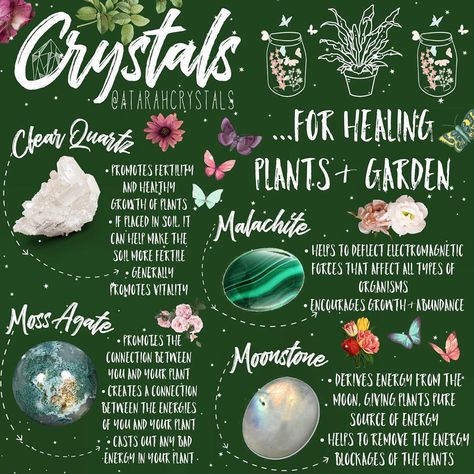 Witches Garden, Crystal Healing Chart, Sacred Garden, Witchcraft Spells, Green Witchcraft, Wiccan Spell Book, Magick Book, Crystal Garden, Crystal Cave