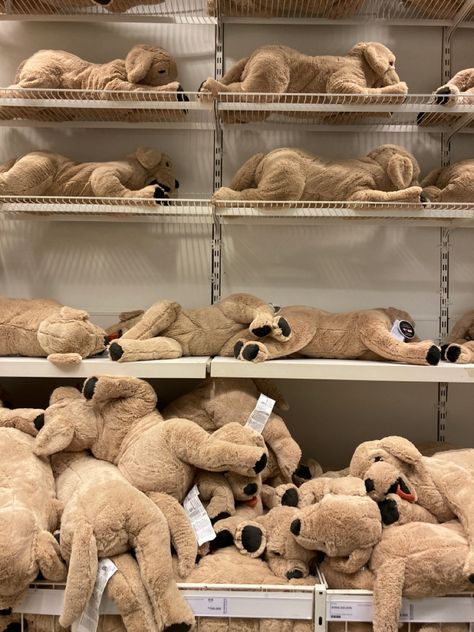 Ikea Dog Plush, Ikea Plushies Aesthetic, Ikea Plushies, Plushie Aesthetic, Ikea Dog, Ikea Doll, Dog Plushie, Ikea Toys, Dog Doll