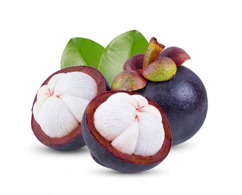 Munari Mobile, Mangosteen Fruit, Sistem Pencernaan, Purple Fruit, Study Korean, Live Tree, Photo Food, Beautiful Fruits, Fruit Plants