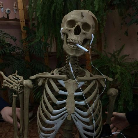 A Skeleton, Skeleton