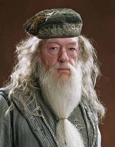 Dumbledore Bashing, Dumbledore Family, Beard Halloween Costumes, Harry Potter Professors, Harry Potter Dumbledore, Hulk Character, Michael Gambon, Albus Dumbledore, Harry Potter Film