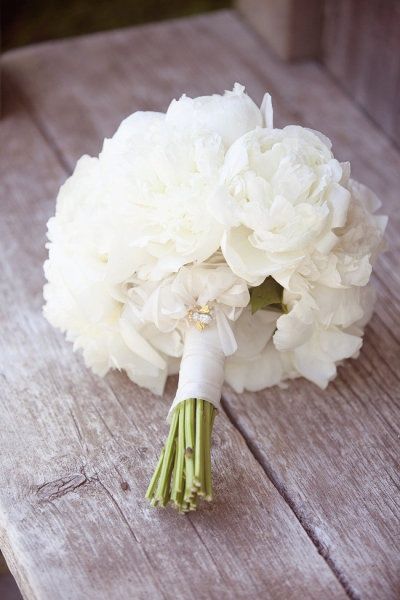 White peonies Massachusetts Wedding, White Bridal Bouquet, Bee Brooch, White Wedding Flowers, Trendy Flowers, White Peonies, White Bouquet, White Bridal, Bride Bouquets