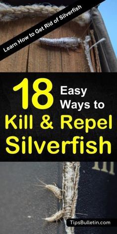 Get Rid Of Silverfish, Best Pest Control, Flea Prevention, Deep Cleaning Tips, Insect Control, Silver Fish, Garden Guide, Diatomaceous Earth, Humming Bird Feeders