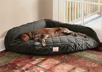 corner dog bed.  Oh my goodness my dogs would love this!  It could replace the make shift bed I made (with pillows and blankets) in the corner of our bedroom! Corner Dog Bed, Psy I Szczenięta, Diy Dog Bed, Memory Foam Dog Bed, Dog Rooms, Dogs Of The World, Dog Houses, Diy Dog Stuff, Dog House