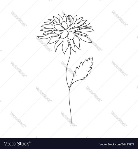 Chrysanthemum One Line Drawing, Chrysanthemum Line Drawing, Chrysanthemum Line Art, Tattoo Chrysanthemums, Flower On White Background, Birth Flower Tattoos, One Line Drawing, Flower Stencil, Drawing Style