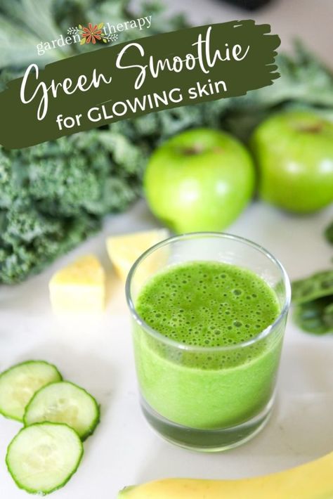 A Garden Green Smoothie For Glowing Skin. This recipe is full of veggies and fruit that are good for hair, skin and nails, plus the addition of liquid Chlorophyll, vitamin c, and silica for that extra glow! #ad #iherbpartner #gardentherapy #greensmoothie Turmeric Smoothie Recipes, Glowing Green Smoothie, Yummy Green Smoothie, Turmeric Smoothie, Green Smoothie Recipe, Garden Therapy, Herbal Skin Care, Detox Juice Recipes, Smoothie Diet Plans