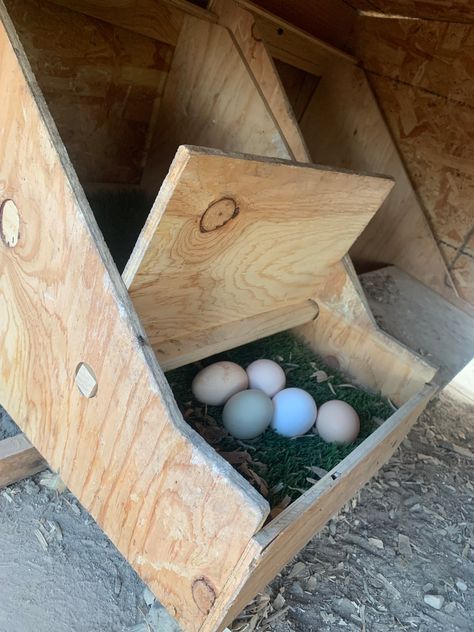 Chicken Coop And Chicken Run, Hen Laying Boxes Ideas, Chicken Layer Boxes, Homemade Nesting Boxes For Chickens, Roll Out Nesting Boxes Diy, Grain Bin Chicken Coop, Chicken Coop Designs Diy Cheap, Chicken Nesting Box Ideas, Chicken Laying Boxes