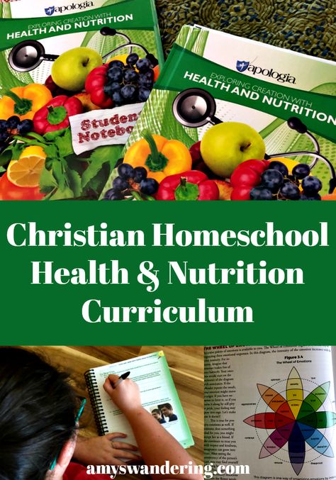 Christian Homeschool Health Nutrition Curriculum | #homeschool #science #nutrition #curriculum  Homeschool Health and Nutrition for High School using Apologia's Exploring Creation with Health and Nutrition. Homeschool Health, Homeschool Electives, High School Health, Christian Homeschool Curriculum, High School Curriculum, Christian Homeschool, Nutrition Classes, Health And Physical Education, Online Homeschool