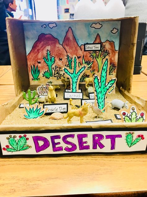 Desert Biome Diorama, Desert Biome Shoebox Project, Desert Diarama Ideas, Sahara Desert Diorama, Desert Diorama Ideas, Desert Habitat Project, Desert Diorama Projects, Desert Project For School, Desert Biome Project Ideas