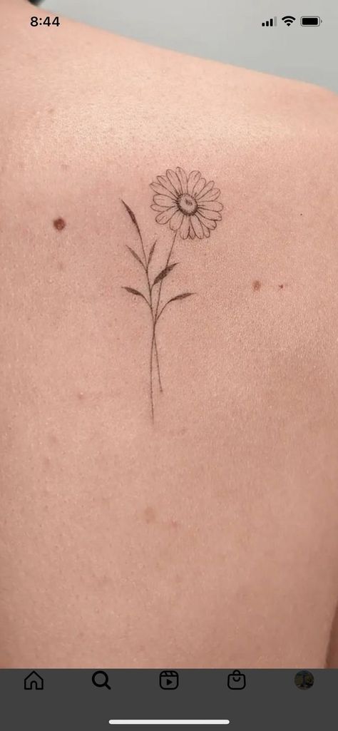 | Creative Tattoos Aesthetic By  Tehya Richter Marguerite Flower Tattoo, Sunflower Tattoo Tiny, Elegant Daisy Tattoo, Simple Aster Tattoo, Flower Tattoos Sunflower, Daisy Tatoos Ideas Small, Daisy Tattoo Designs Small, Marguerite Daisy Tattoo, Daisy Tattoo Flower