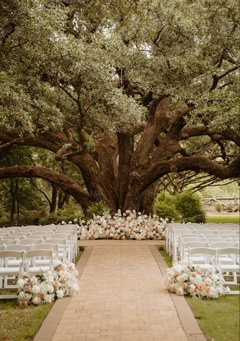 Laid Back Outdoor Wedding, Tree Wedding Ceremony Decoration, Wedding Venue Willow Tree, Wedding Ideas Spring Outdoor, Plant Wedding Aesthetic, Under Tree Ceremony, Under A Tree Wedding, Outdoor Wedding White Flowers, Gorgeous Wedding Venues Outside