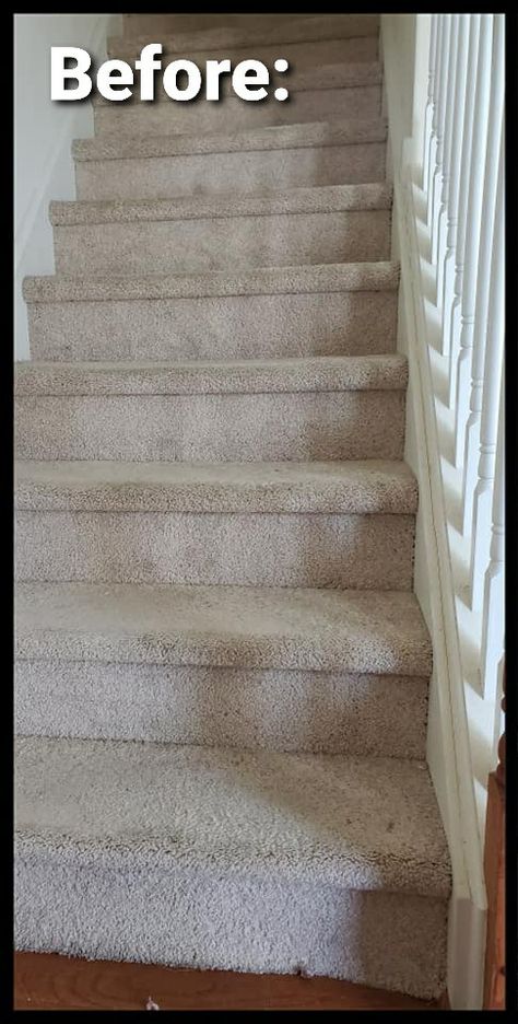 Staircase Carpeting Ideas, Carpet For Stairs Ideas, Old Carpet Makeover, Carpeted Stairs Makeover, Carpet Stairs To Wood Transition, How To Rip Up Carpet On Stairs, Changing Carpet Stairs To Wood, Refinishing Stairs Removing Carpet, Changing Stairs From Carpet To Wood