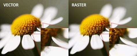 Vector Vs Raster Image, Face Typography, Computer Images, Printing Photos, Computer Hacks, Computer Maintenance, Raster To Vector, Computer Basics, Raster Image