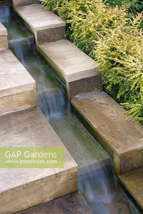 Water running down stepped rill with clipped hedge of Lonicera nitida 'Baggesen's Gold' Garden Stream, Desain Lanskap, Backyard Water Feature, Garden Steps, Outdoor Stairs, Have Inspiration, Water Features In The Garden, Modern Landscaping, Back Garden