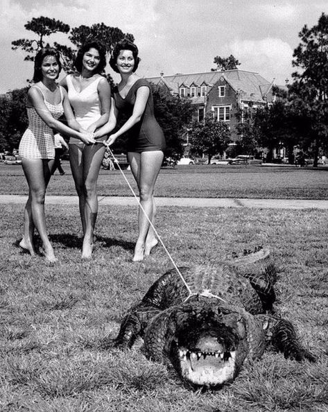 27 Incredible Vintage Photos of People Posing With Alligators, Even Cuddle or Ride Them, From the Early 20th Century ~ Vintage Everyday Photographie Portrait Inspiration, People Poses, Florida Girl, Old Florida, Vintage Florida, Foto Vintage, Pics Art, Vintage Photographs, Vintage Photography