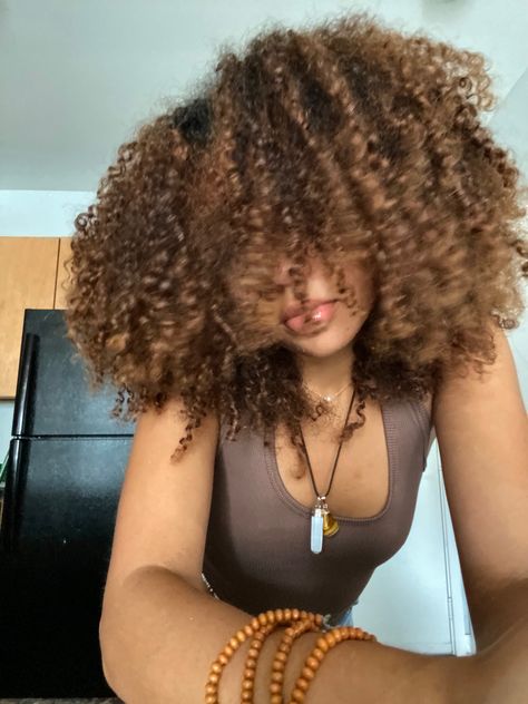 Curly Hair Covering Face, Honey Brown Curly Hair Black Women, Curly Afro Aesthetic, Brown Curly Hair Black Women, Natural Curly Hair Black Women, Curly Hair 3b/3c, Brown Skin Curly Hair, Curly Bun Natural Hair, Honey Brown Curly Hair