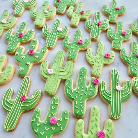 Cactus biscuits by Eat My Cake London Cactus Royal Icing Cookies, Cactus Decorated Cookies, Buttercream Cookie Decorating, Cactus Cookies Decorated, Cactus Sugar Cookies, Mexico Cake, Fiesta Cookies, Cactus Cookies, Taco Cake