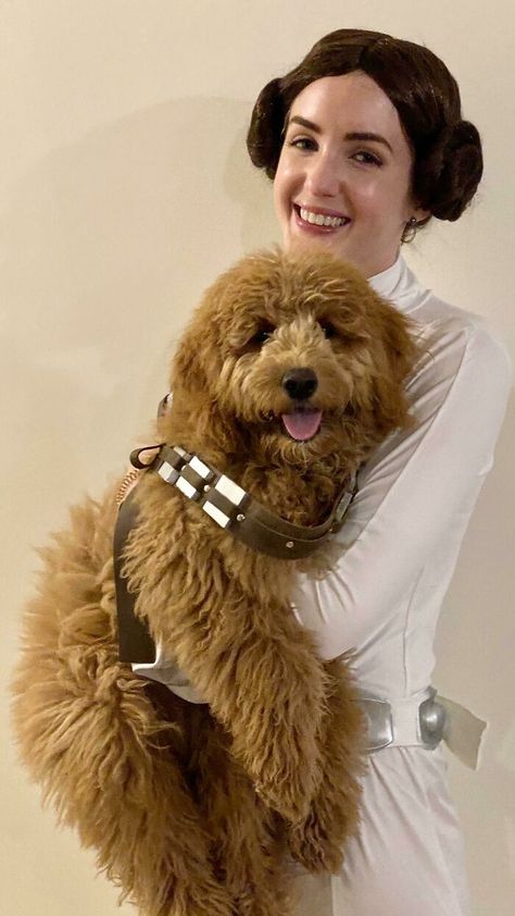 Dog And Owner Costumes, Chewbacca Dog, Chewbacca Costume, Puppy Halloween Costumes, Cute Dog Costumes, Scary Dogs, Diy Dog Costumes, Pet Halloween Costumes, Star Wars Costumes