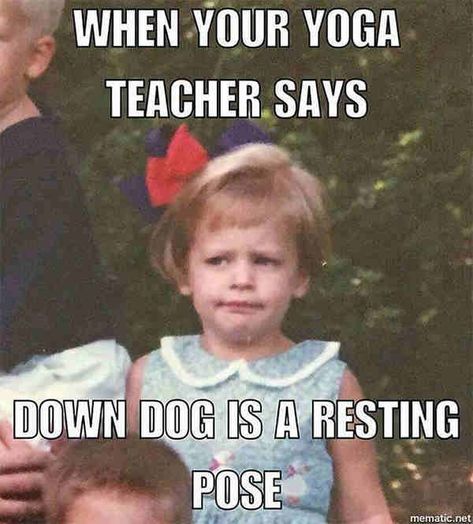 20 Yoga Memes That Are Honestly Funny | SayingImages.com Namaste Funny, Yoga Jokes, Yoga Meme, Yoga Humor, Yoga Quotes Funny, Yoga Nature, Yoga Vinyasa, Yoga Video, Beginner Yoga