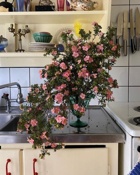 Room Filled With Flowers, Flowers In House, Flower At Home, Home Sanctuary, Instagram Flowers, Vintage Floral Design, Nothing But Flowers, Feel Like Home, Flower Therapy