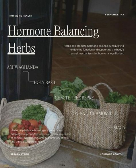 Incorporating hormone-balancing herbs into your daily routine can be a transformative practice, supporting overall well-being and vitality. Herbs like maca powder, ashwagandha, chaste tree berry, holy basil, and organic chamomile each offer unique benefits that can help harmonize your body’s natural rhythms. 🌱🤎 You can find organic chamomile and holy basil in our *P.M. Rest & Digest* supplement, thoughtfully formulated to support relaxation and restful sleep. #Seraandmattina #hormonehealth Hormone Balancing Herbs, Chaste Tree Benefits, Maca Herb, Balance Cortisol, Chaste Tree, Maca Powder, Liver Support, Hormonal Balance, Holy Basil