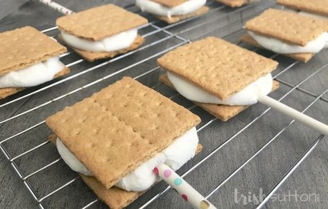 S’more On A Stick, Chocolate Dipped S’mores, S'more On A Stick, Easy Chocolate Dipped Treats, S’more Pops, Oreo On A Stick Dipped, Marshmallow Smores On A Stick, S'mores To Go, Chocolate Dipped Smores