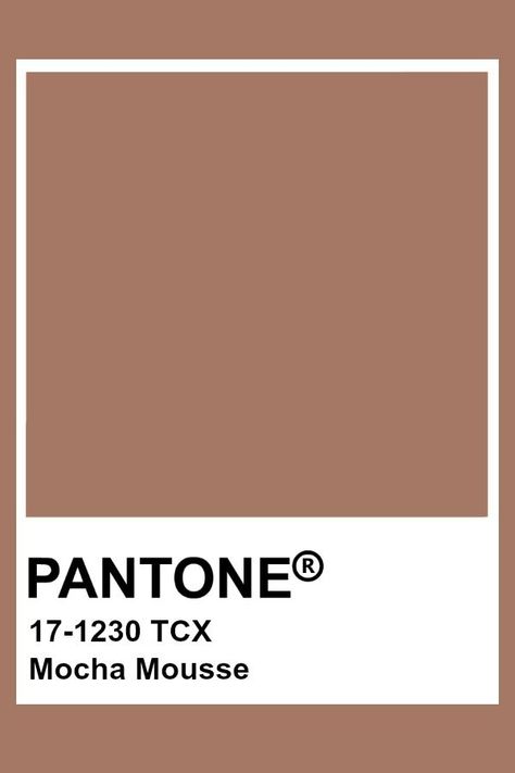 Pantone Mocha Mousse Mocha Mousse Pantone Interior, Mocha Mousse Colour, Mocha Mousse Color Pantone, Mocha Mouse Pantone, Mocha Mousse Interior Design, Mocha Colour Palette, Mocha Pantone, Mocha Mousse Color, Pantone Color Of The Year 2025