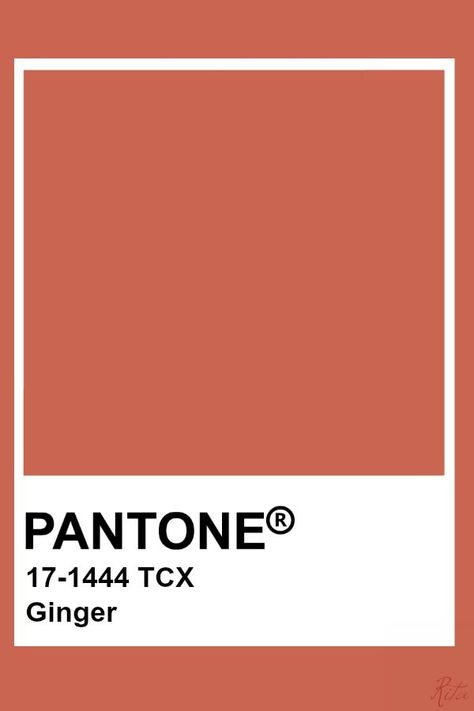 Pantone Dusty Rose, Pantone Autumn, Pantone Tcx, Pantone Color Chart, Pantone Swatches, Pantone Palette, Pantone Colour Palettes, Pantone Colors, Color Palate