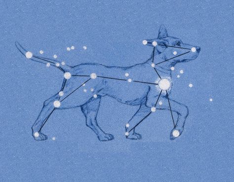 Canis Major, The Dog Star, Constellation Tattoos, Star Constellations, Zodiac Constellations, Dog Tattoos, Star Sky, Dogs And Cats, Bright Stars