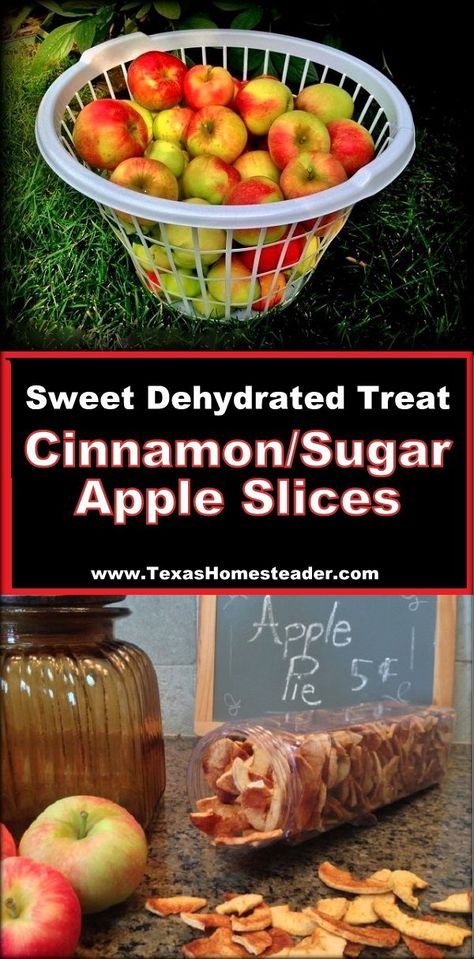 Sweet, Crispy Dehydrated Cinnamon/Sugar Apple Chips. ~ Texas Homesteader ~ Apple Chips Dehydrator, Canning Apple Pie Filling, Dehydrated Recipes, Homesteading Inspiration, Dehydrating Recipes, Cinnamon Sugar Apples, Dehydrated Apples, Cinnamon Apple Chips, Dehydrated Foods