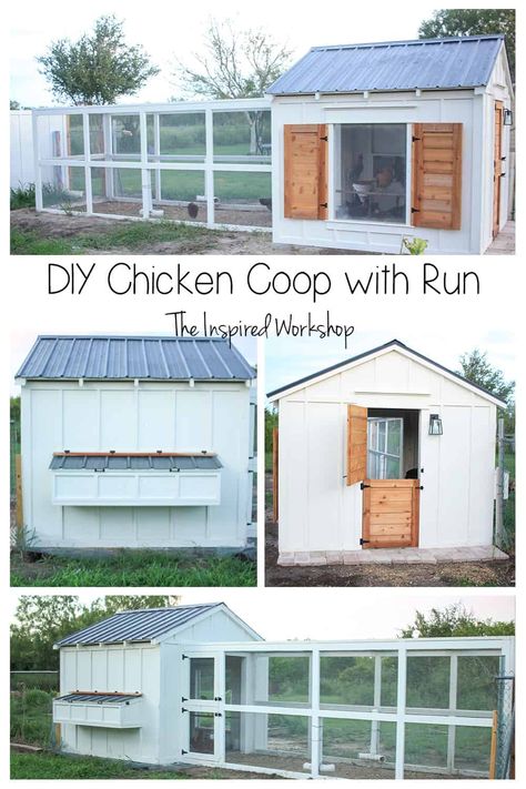 Craftsman Style Chicken Coop, Chicken Coop Ideas Large, Chicken Coop For Cats, Backyard Chickens Coop Ideas, Chicken Coop Ideas Farmhouse, Chicken Coop Ideas For 30 Chickens, Chicken Coop With Double Run, Diy Coop Cheap, Palette Chicken Coop Diy