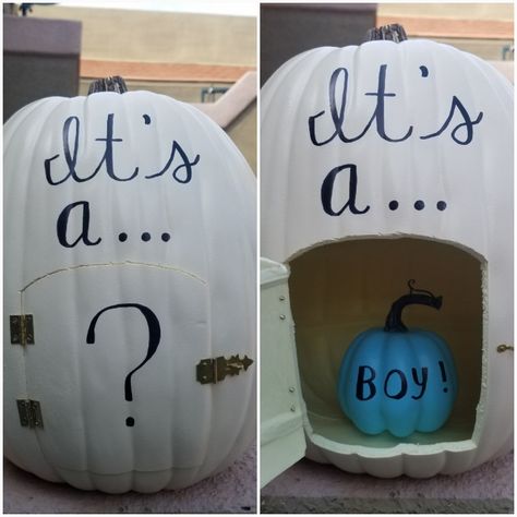 Halloween Gender Reveal Pictures, Pumpkin Smash Gender Reveal, Lil Pumpkin Gender Reveal, Fall Themed Gender Reveal, Unique Gender Reveal Themes, Halloween Gender Reveal Ideas, Ways To Reveal Baby Gender, Fall Gender Reveal Ideas, Fall Gender Reveal Party