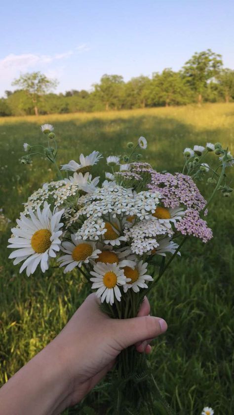 Swedish Summer, Country Flowers, Flower Therapy, Single Rose, Spring Aesthetic, Summer Solstice, Love Flowers, My Flower, Pretty Flowers