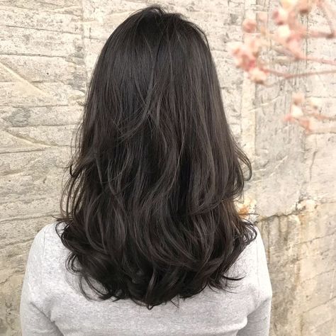 Hair Styles Curtain Bangs, Layered Hair Bangs, Bangs Hair Styles, Haircut Ideas Trendy, Shoulder Haircut, Medium Length Hair Straight, Medium Length Wavy Hair, Haircut For Women, Wolfcut Hair