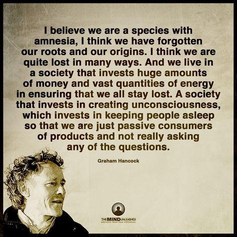 This is what the west, in particular America, has been suffering from... people are waking up finally! Graham Hancock, Question Everything, Philosophers, Spiritual Awakening, Critical Thinking, Meaningful Quotes, Wisdom Quotes, Life Lessons, Words Of Wisdom