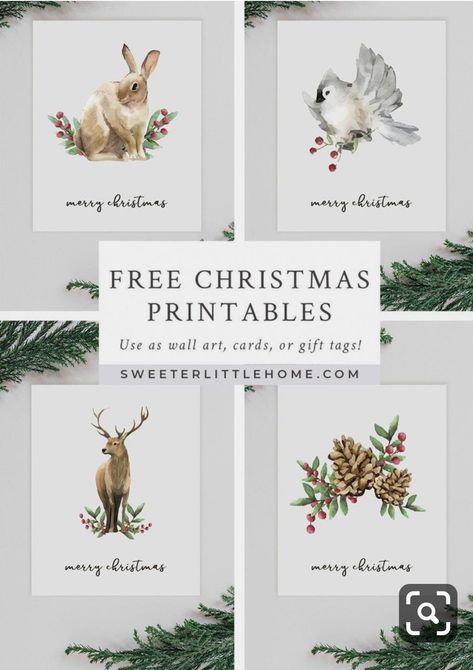 Free Printable Christmas Gift Tags, Botanical Printables, 2024 Printable, Seasonal Printables, Decorate For Christmas, Christmas Gift Tags Printable, Illustration Noel, Christmas Fonts, Printable Images