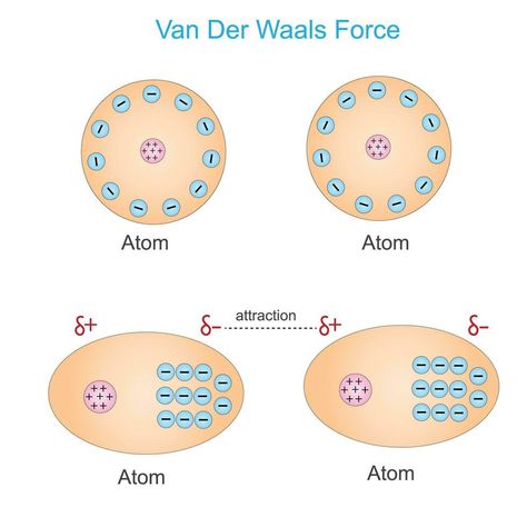 Van der waals force is a distance-dependent interaction between atoms or molecules. Unlike ionic or covalent bonds.the weak dipole attraction . physics and chemistry concept. Ionic And Covalent Bonds, Covalent Bonds, Physics And Chemistry, Covalent Bonding, Black Hole, Biology, Atom, Chemistry, Vector Art